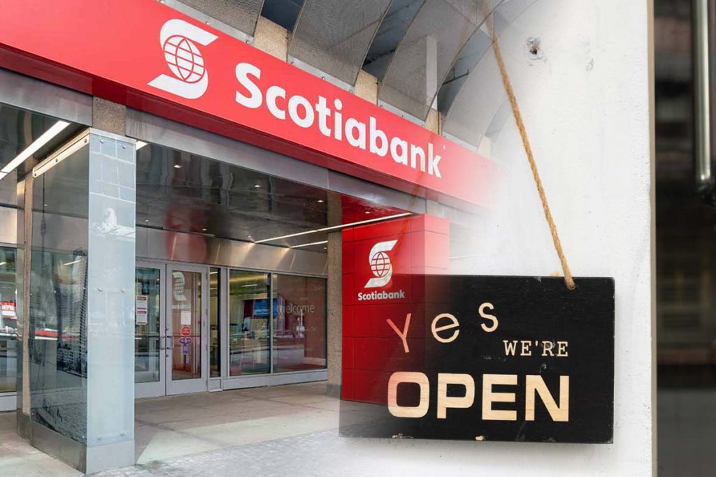 Is Scotiabank open today article image
