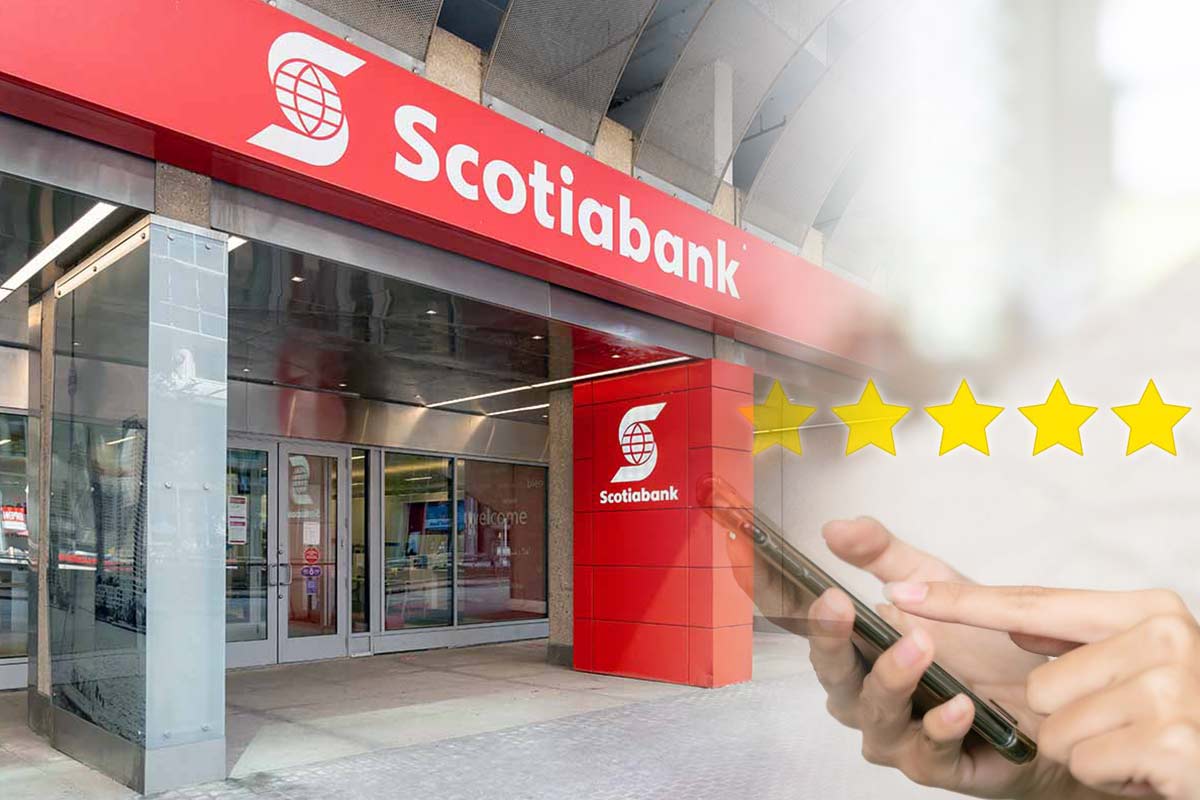 Scotiabank review article image