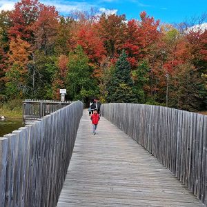 Island Lake Conservation Area on Fall Season