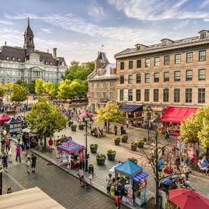 Top Things to Do in Montreal