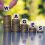 Ontario Minimum Wage 2025: What You Need to Know