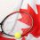Comparing Canadian and International Sports Development Models