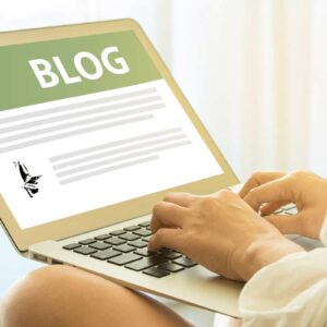 How to Start a Blog in Canada article image