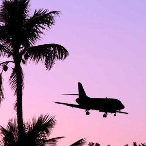 Airplane travelers passing by in a beautiful coconut tree scenery